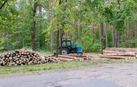 Industrial deforestation by forestry workers using machinery Stock Photos