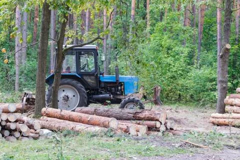 Industrial deforestation by forestry workers using machinery Stock Photos
