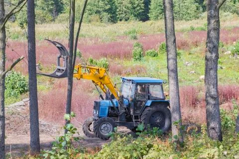 Industrial deforestation by forestry workers using machinery Stock Photos