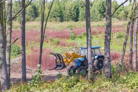 Industrial deforestation by forestry workers using machinery Stock Photos