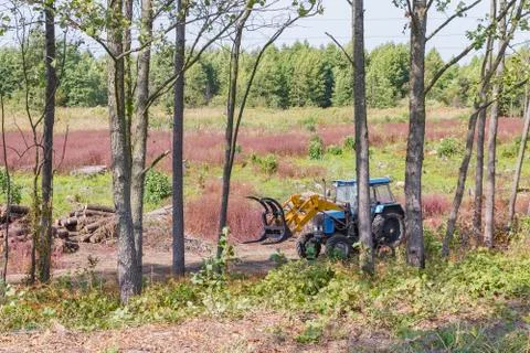 Industrial deforestation by forestry workers using machinery Stock Photos