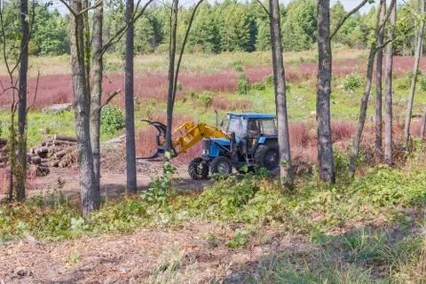 Industrial deforestation by forestry workers using machinery Stock Photos