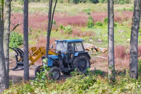 Industrial deforestation by forestry workers using machinery Stock Photos