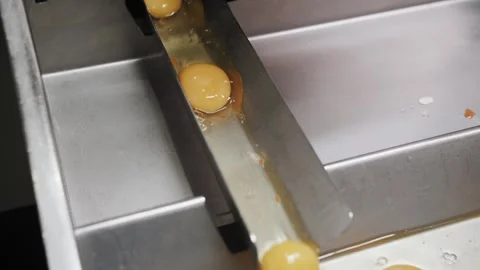 Industrial Egg Breaking Machine Close Up Shot. Stock Footage 322010058