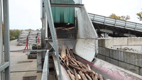 Industrial Facility with Log Processing and Autumn Trees in Background Stock Footage 298074827