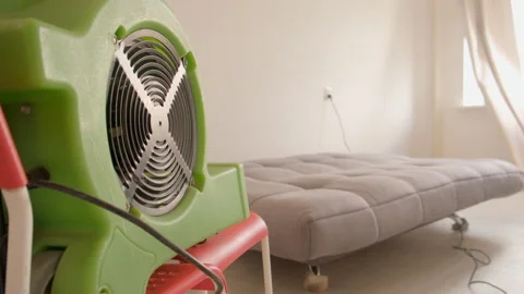 Industrial fan drying sofa surface after professional cleaning in apartment. Stock Footage 311801407