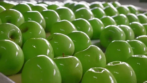 Industrial Farming, Processing and Storage of Apples Stock Footage 85106891