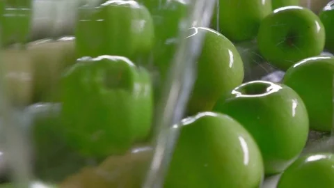 Industrial Farming, Processing and Storage of Apples Stock Footage 85107012