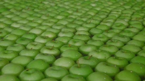 Industrial Farming, Processing and Storage of Apples Stock Footage 85107452
