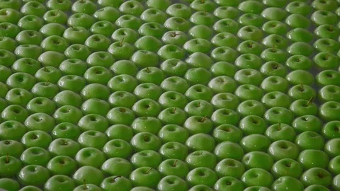 Industrial Farming, Processing and Storage of Apples Stock Footage 85107676
