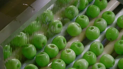 Industrial Farming, Processing and Storage of Apples Stock Footage 85107770