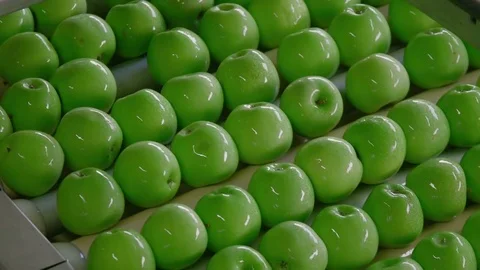 Industrial Farming, Processing and Storage of Apples Stock Footage 85107850