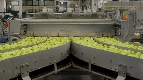 Industrial Farming, Processing and Storage of Apples Stock Footage 96166882