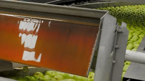 Industrial Farming, Processing and Storage of Apples Stock Footage 96167046