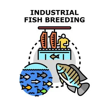 Industrial fish breeding process and aquaculture production Stock Illustration