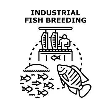 Industrial fish breeding process and aquaculture production Stock Illustration