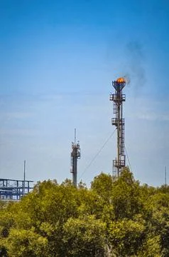 Industrial flare stack burning gas with flame against blue sky amidst green.. Stock Photos