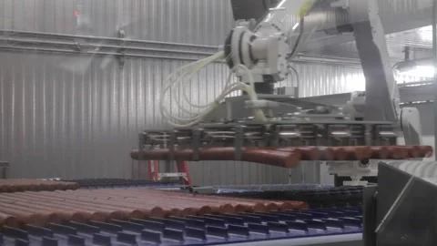 Industrial Food Processing Plant Stock Footage 168548460