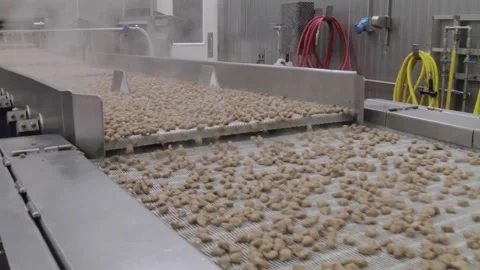 Industrial Food Processing Plant Stock Footage 168548503