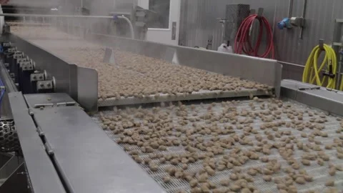 Industrial Food Processing Plant Stock Footage 168548508