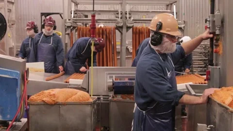 Industrial Food Processing Plant Stock Footage 168548557