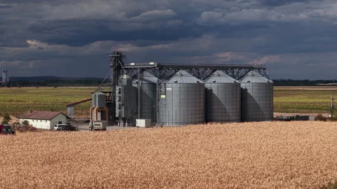 An industrial grain elevator facility stands prominently amidst a vast golden Stock Footage 345619812
