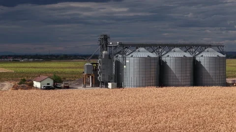 An industrial grain silo complex sits beside a golden wheat field with dark Stock Footage 345566232