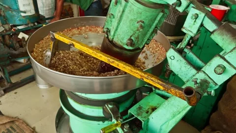 Industrial grinder processing materials with metal scoop assistance extract.. Stock Footage 267850911