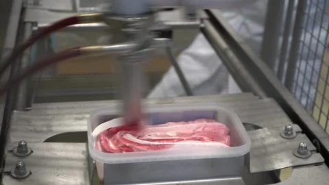 Industrial Ice Cream Production Process In Modern Factory, Automated Filling 스톡 동영상 320391501