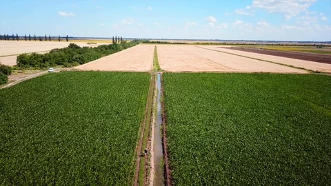 Industrial irrigation  Stock Footage 111698559