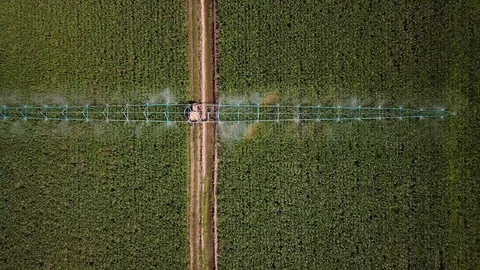 Industrial irrigation  Stock Footage 111698566