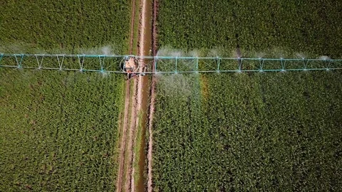 Industrial irrigation  Stock Footage 111698617