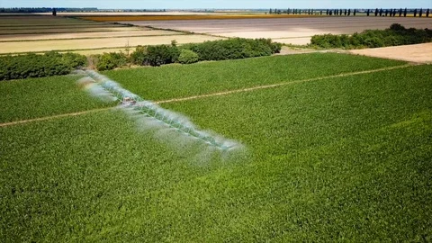 Industrial irrigation  Stock Footage 111698676