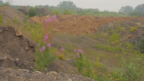 Industrial landscape. Stock Footage 115327571