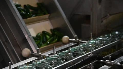 An industrial line for processing and preserving cucumbers Stockbeeldmateriaal 156228737