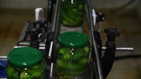 An industrial line for processing and preserving cucumbers Stockbeeldmateriaal 156228811
