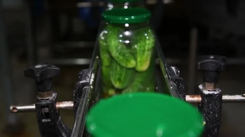 An industrial line for processing and preserving cucumbers 動画素材 156228817