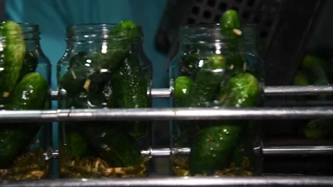 An industrial line for processing and preserving cucumbers 動画素材 156702910