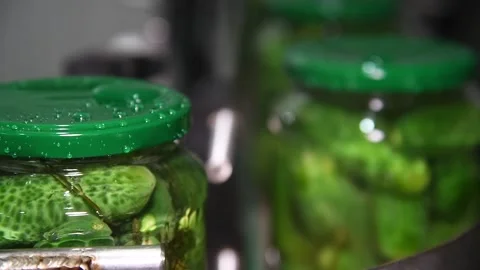 An industrial line for processing and preserving cucumbers Vídeos de archivo 156702970