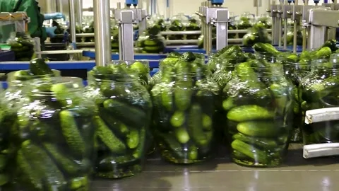 An industrial line for processing and preserving cucumbers Stock Footage 221350951