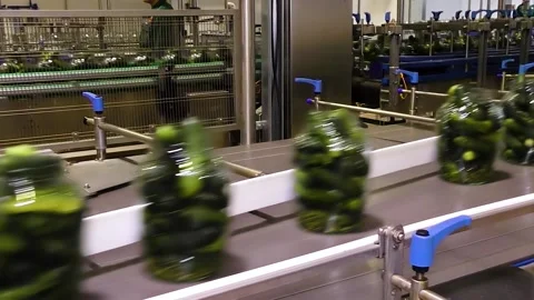 An industrial line for processing and preserving cucumbers Stock Footage 221350959