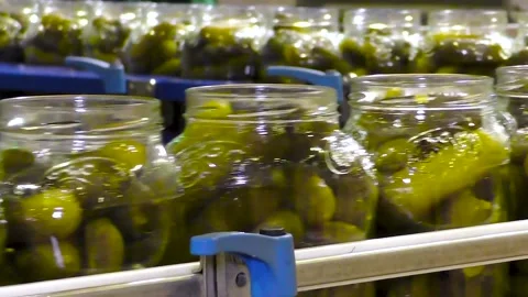 An industrial line for processing and preserving cucumbers Видео 237384713