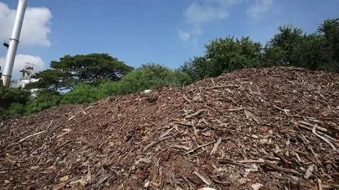 Industrial Loader Working Inside Wood Chip Processing Facility Stock Footage 348037076