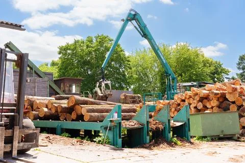 Industrial Log Crane Sorting Timber in a Sawmill in Otzberg-Lengfeld Foto stock