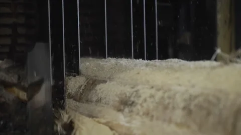 Industrial Log Production Saw With Multiple Simultaneously Working Blades Stock Footage 243406629