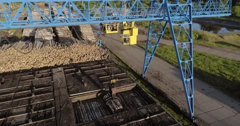 Industrial logging in summer Stock Footage 78771544