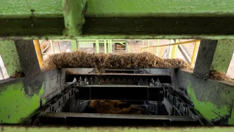 Industrial machine processing organic biomass fiber in factory Stock Footage 338996830