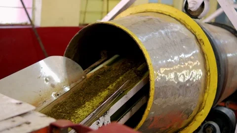 Industrial machine processing tea leaves in india Stock Footage 290487721