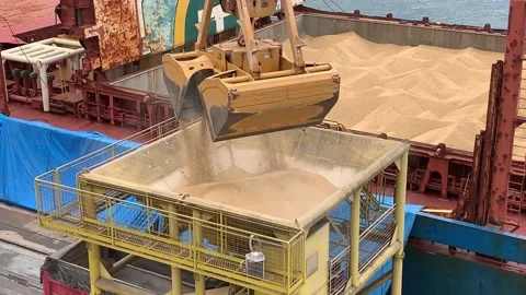 Industrial machinery pouring the corn kernels in a sieve in a factory Stock Footage 237512592