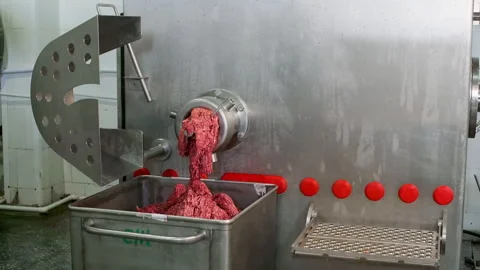 Industrial meat grinder producing ground meat in food processing plant Stockbeeldmateriaal 290999615